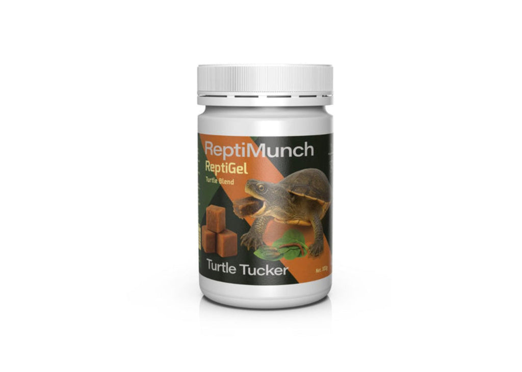 AquaMunch ReptiGel Turtle Tucker 100g gel food for turtles