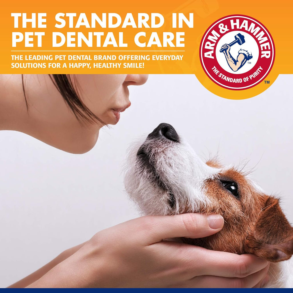 Arm & Hammer Tartar Control Dental Kit for Dogs Beef