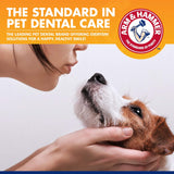 Arm & Hammer Tartar Control Dental Kit for Dogs Beef
