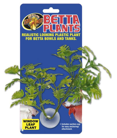 Zoo Med Betta Plant - Window Leaf Plant