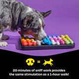 Brightkins Kanoodle Dog Edition