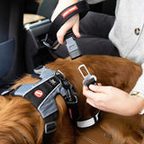 EzyDog Click Leash