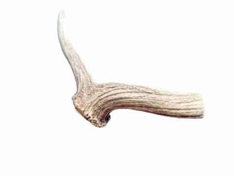 Kirby Pet Treats Deer Antlers