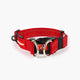 EzyDog Double Up Collar