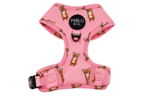 Pablo & Co Adjustable Harness Chihuahua