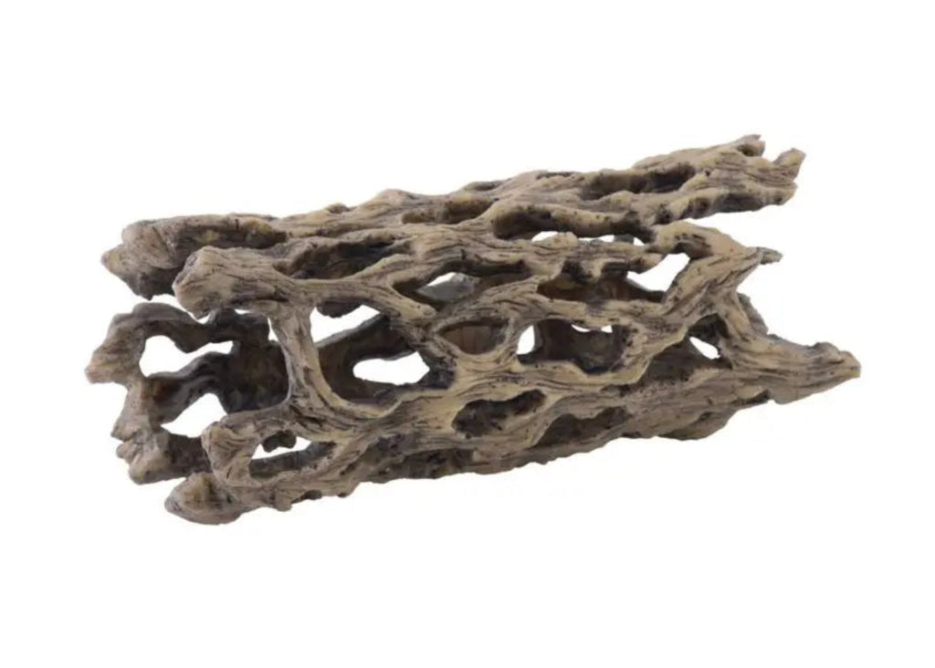 Exo Terra Cholla Cactus Skeleton natural reptile habitat hide for reptiles amphibians and invertebrates