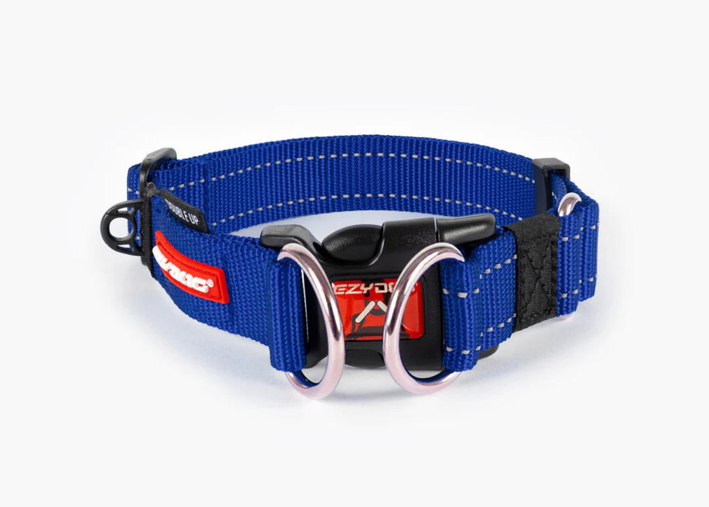 EzyDog Double Up Collar with double stainless steel D-rings and reflective stitching