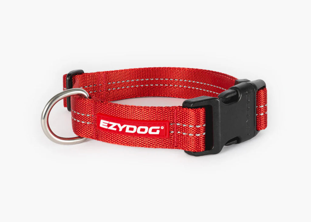 EzyDog Essential Adjustable Collar for everyday dog walking and daily wear