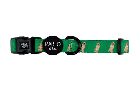 Pablo & Co Dog Collar Golden Retriever