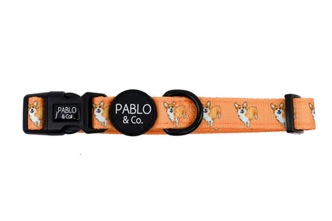 Pablo & Co Dog Collar Corgi