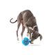 Guru Ball