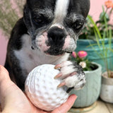 Soda Pup Golf Ball