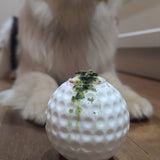 Soda Pup Golf Ball
