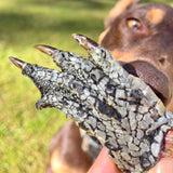 Kirby Pet Treats - Crocodile Feet