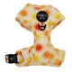 Pablo & Co Adjustable Harness Ray of Sunshine
