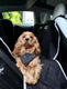 DOOG Car Seat Cover