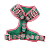 Pablo & Co Happee Birthdae Harry Adjustable Harness