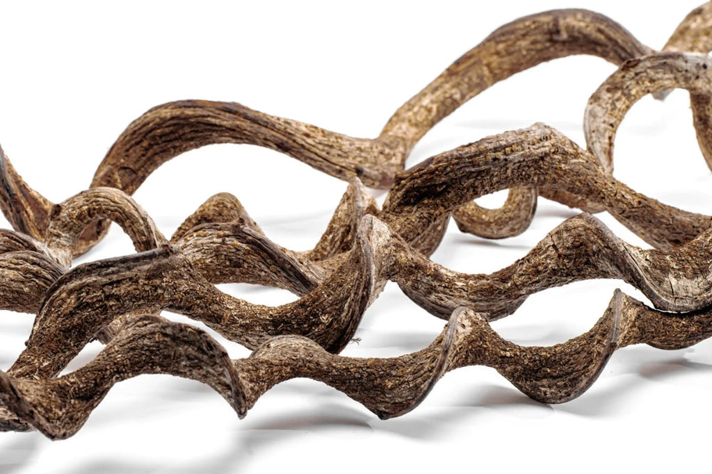 Jungle Vine natural vine wood decoration – medium and large natural aquarium terrarium and reptile enclosure décor with unique shape and texture