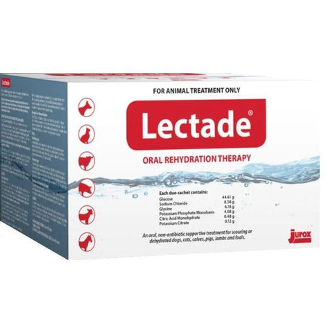 Lectade Sachets - Single Sachet