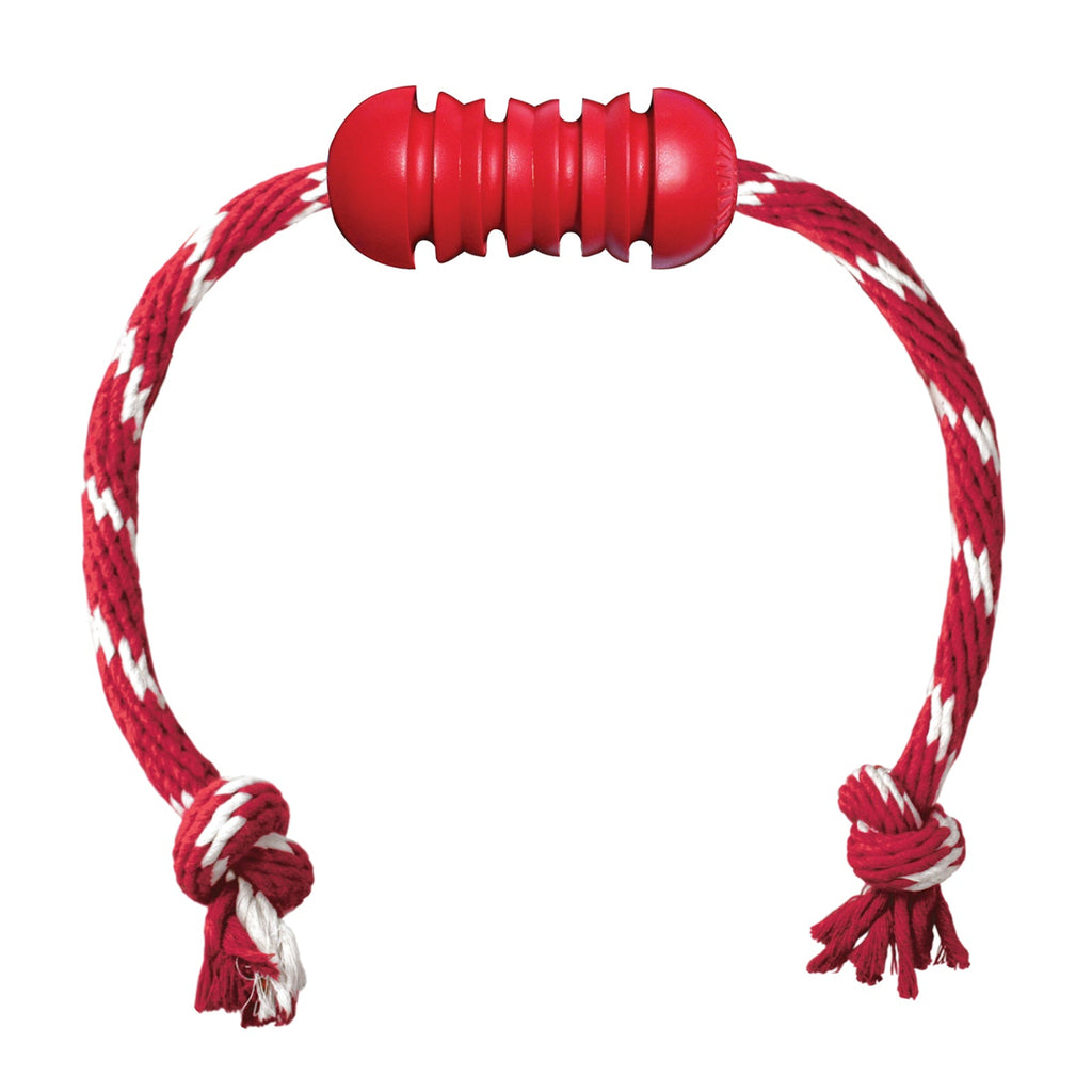 KONG Dental with Rope dog toy with textured rubber grooves and cotton rope