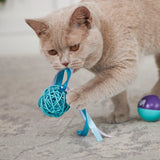 Kitty Wicker Ball