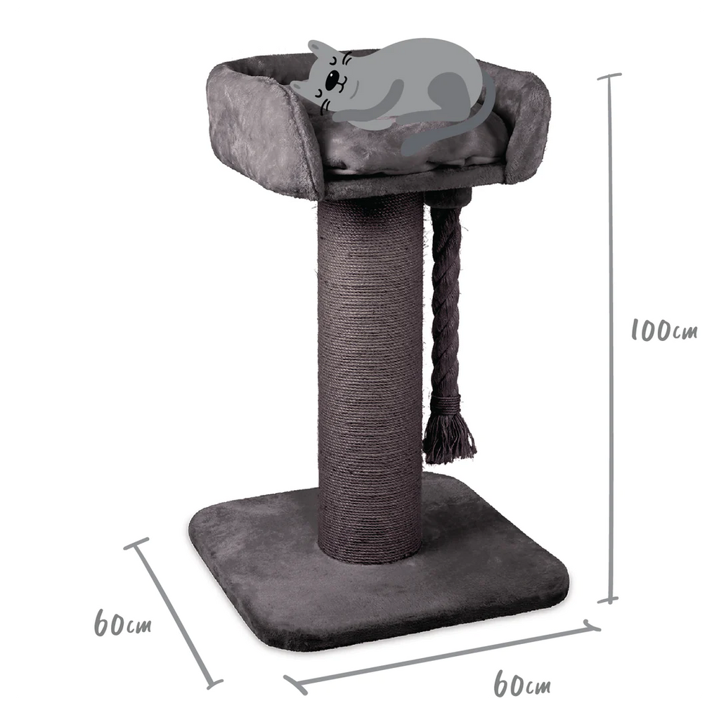 Kazoo cat high bed outlet