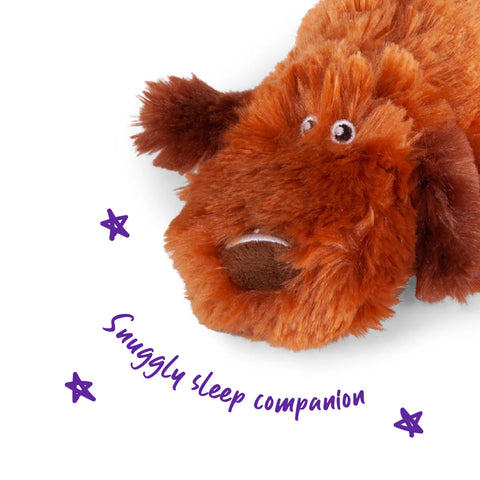 Kazoo - Lazy Dog