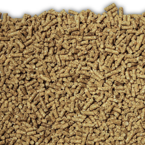 Kirby Bird Seed Black Parrot Breed & Grow Pellets
