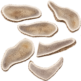 Kirby Pet Treats Deer Antler Slices