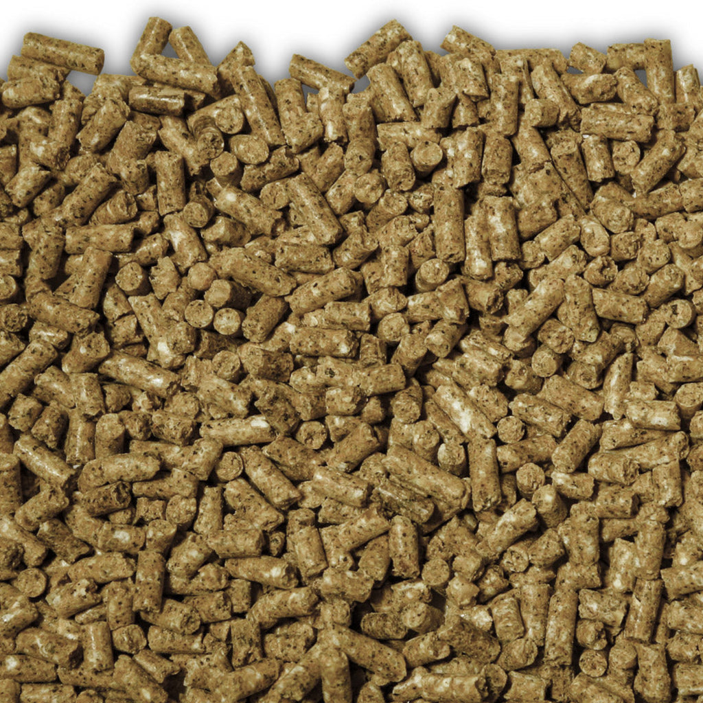 Kirby Bird Seed Black Parrot Pellets Adult Parrot Food 2kg