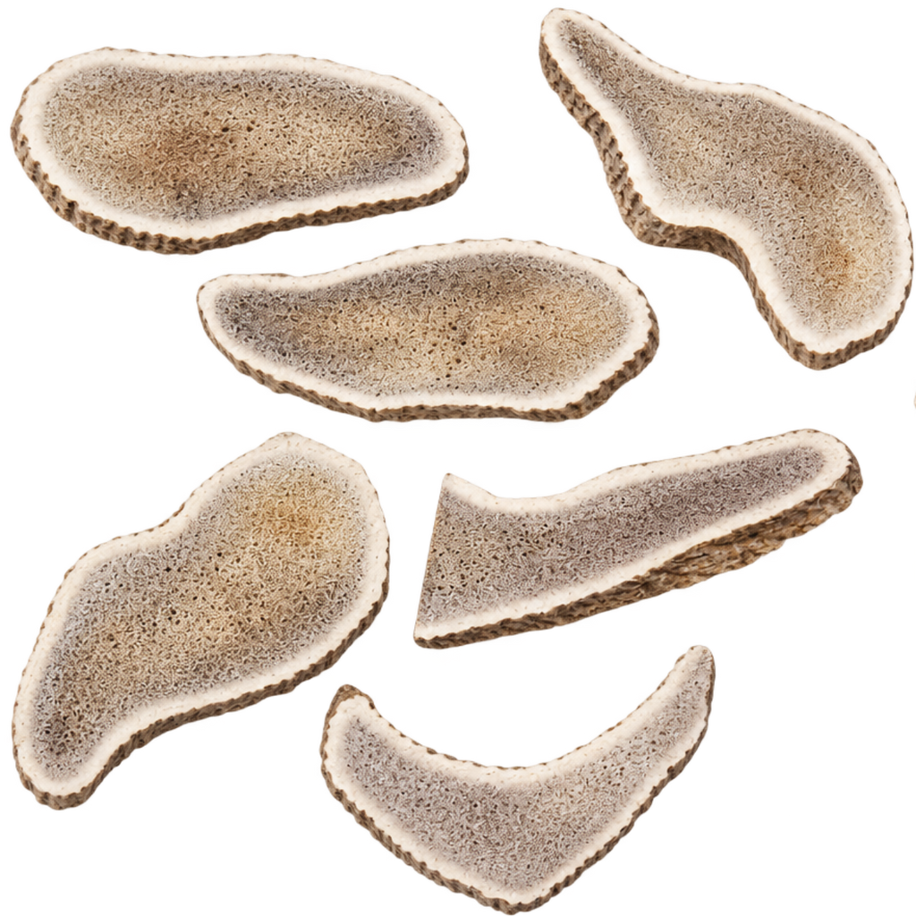 Kirby Pet Treats deer antler slices natural long-lasting dog chews