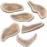 Kirby Pet Treats deer antler slices natural long-lasting dog chews
