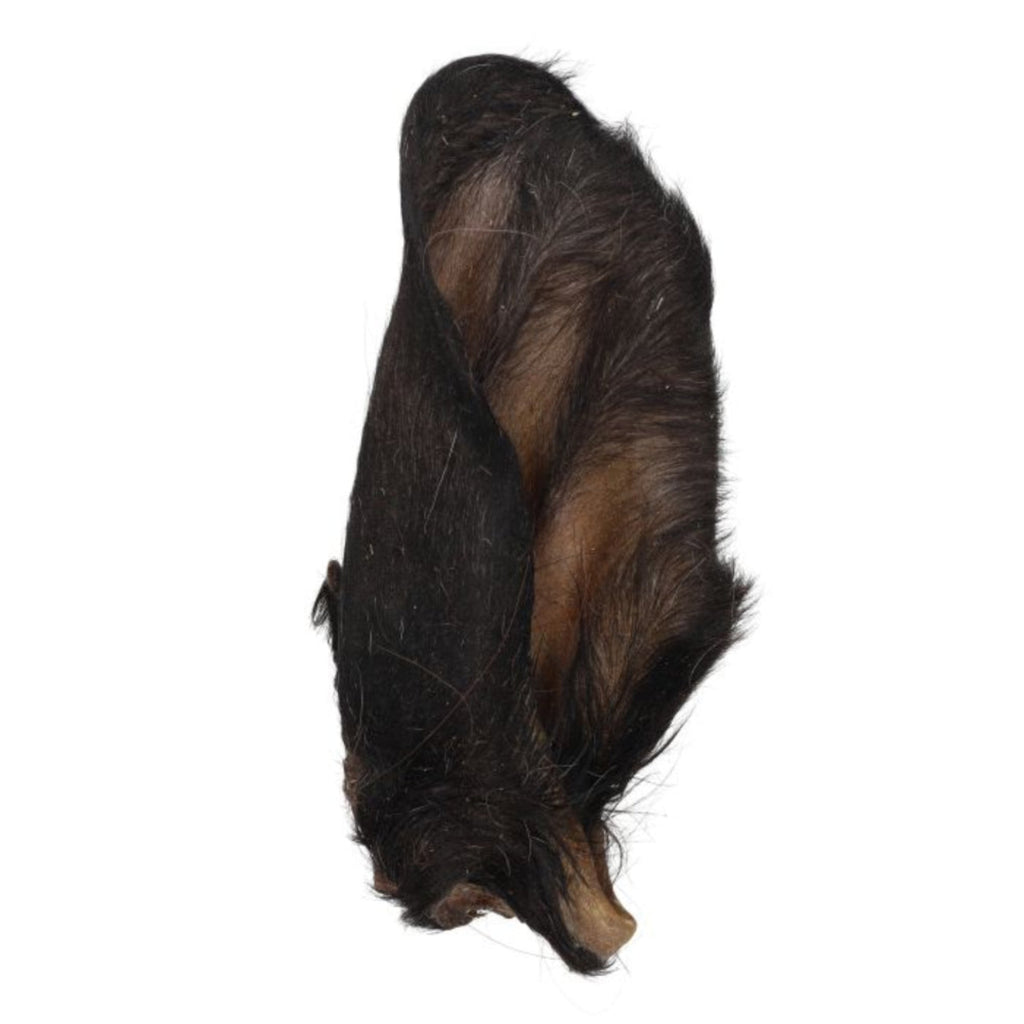 Kirby Pet Treats woolly Angus beef ear fur-on natural dog chew