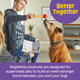 Brightkins - Pooch School! Training Set