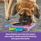 Brightkins - Dj Doggo Puzzle Feeder