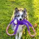 ZippyPaws Ropetugz Monkey