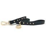 Nice Digs Smooth Spike Dog Leash