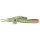 Nice Digs Smooth Spike Dog Leash