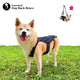 AVCPET 3D Recovery Harness