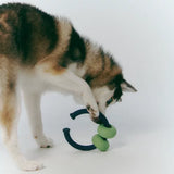 Dango Ring