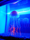 Wham Fluro Spotted Jelly Fish