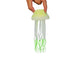Wham Fluro Spotted Jelly Fish