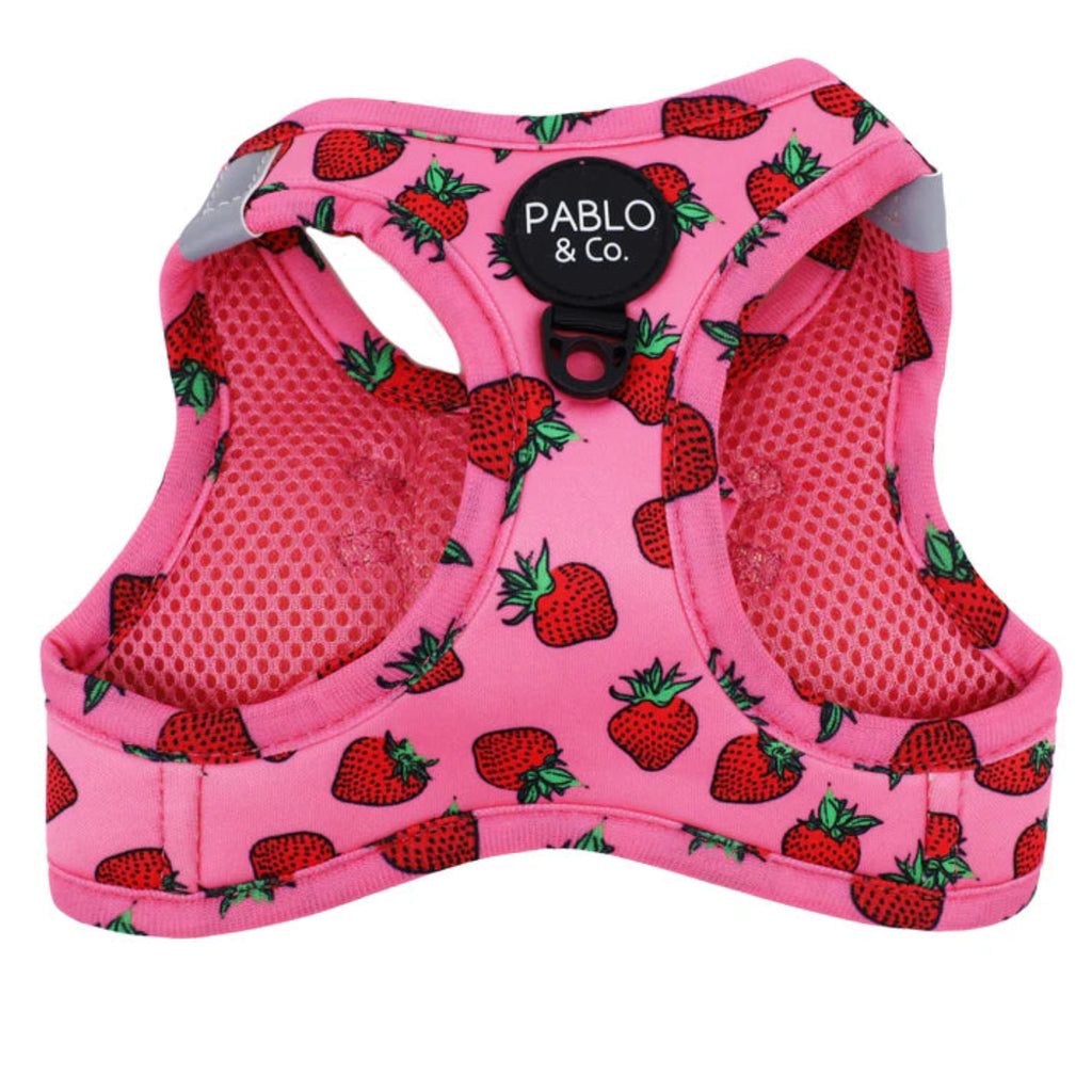 Pablo & Co. Strawberries Step In Cat Harness with reflective strips and breathable mesh lining