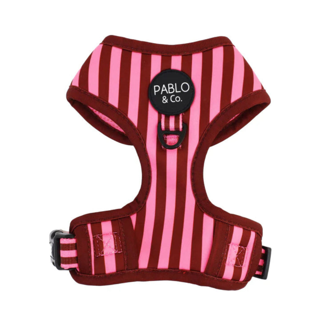 Pablo & Co Blushing Stripes adjustable dog harness with breathable neoprene and mesh lining