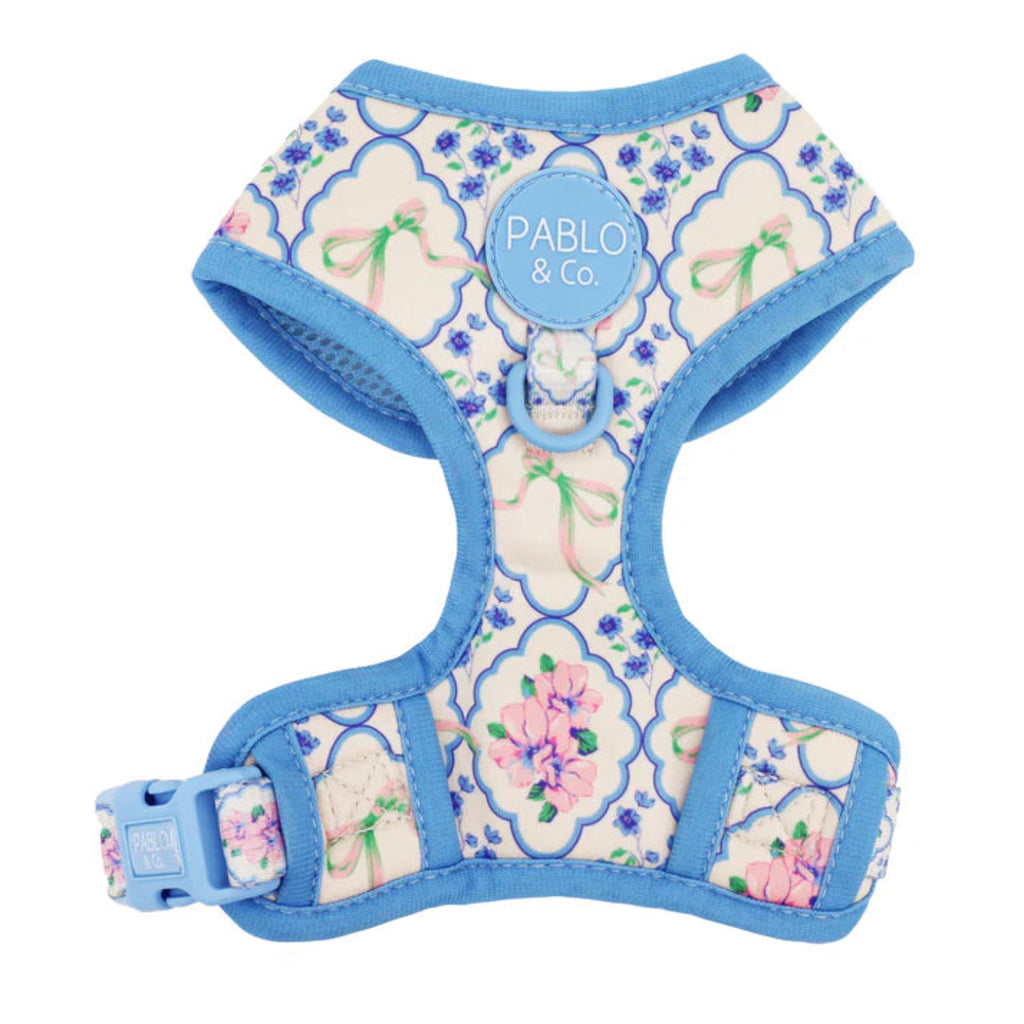 Pablo & Co Petal adjustable dog harness with floral print, breathable neoprene and secure four-point buckle
