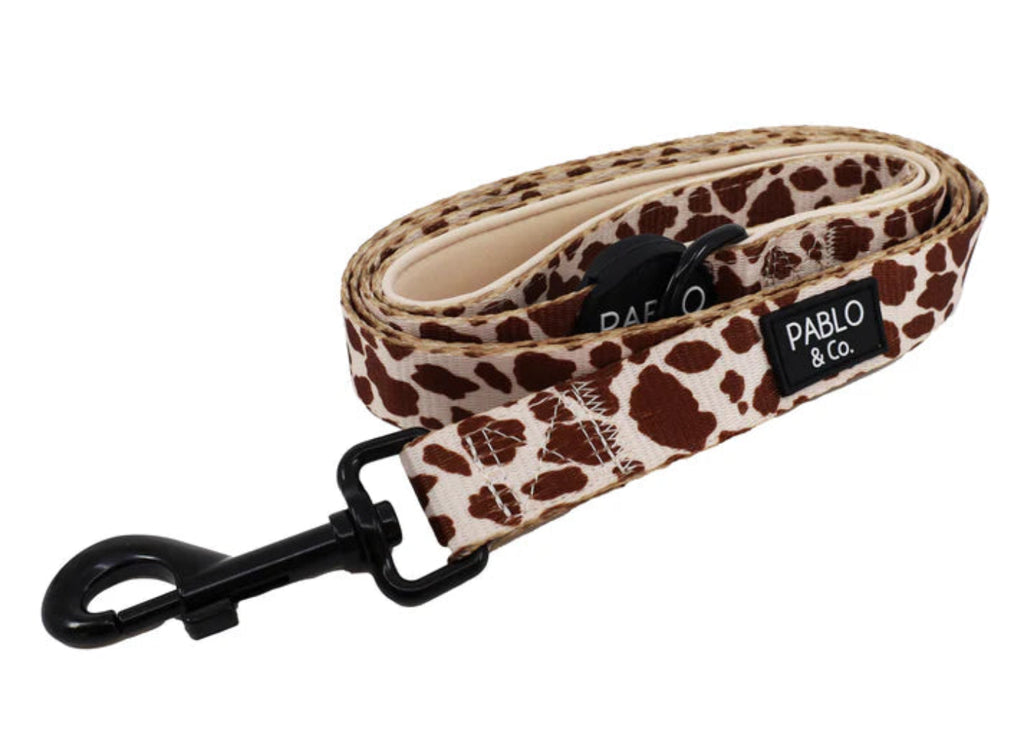 Pablo & Co Rodeo Dog Lead with neoprene padded handle and heavy duty spring clip