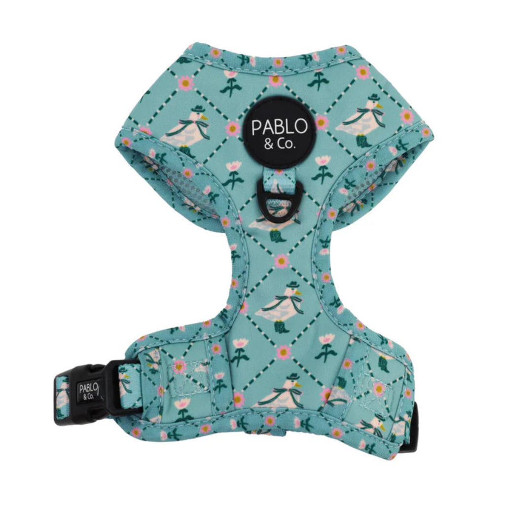 Pablo & Co Silly Little Goose adjustable dog harness with neoprene lining