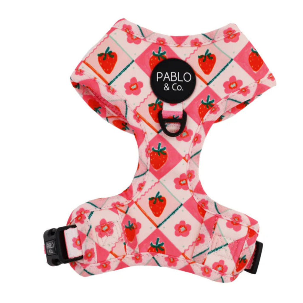 Pablo & Co Strawberry Patch adjustable dog harness with breathable neoprene and mesh lining