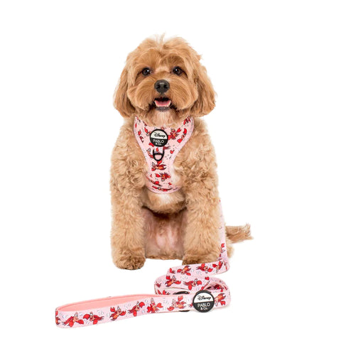 Pablo & Co The Little Mermaid Sebastian Dog Lead