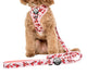 Pablo & Co The Little Mermaid Sebastian Dog Lead